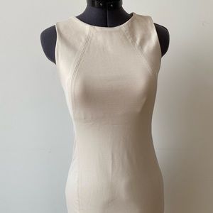 Aritzia Babaton Miguel Dress in Nude
